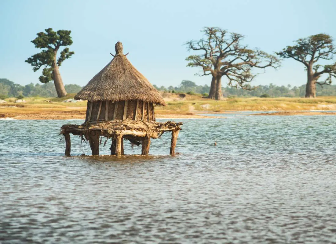 viaggi-in-senegal-mokoro