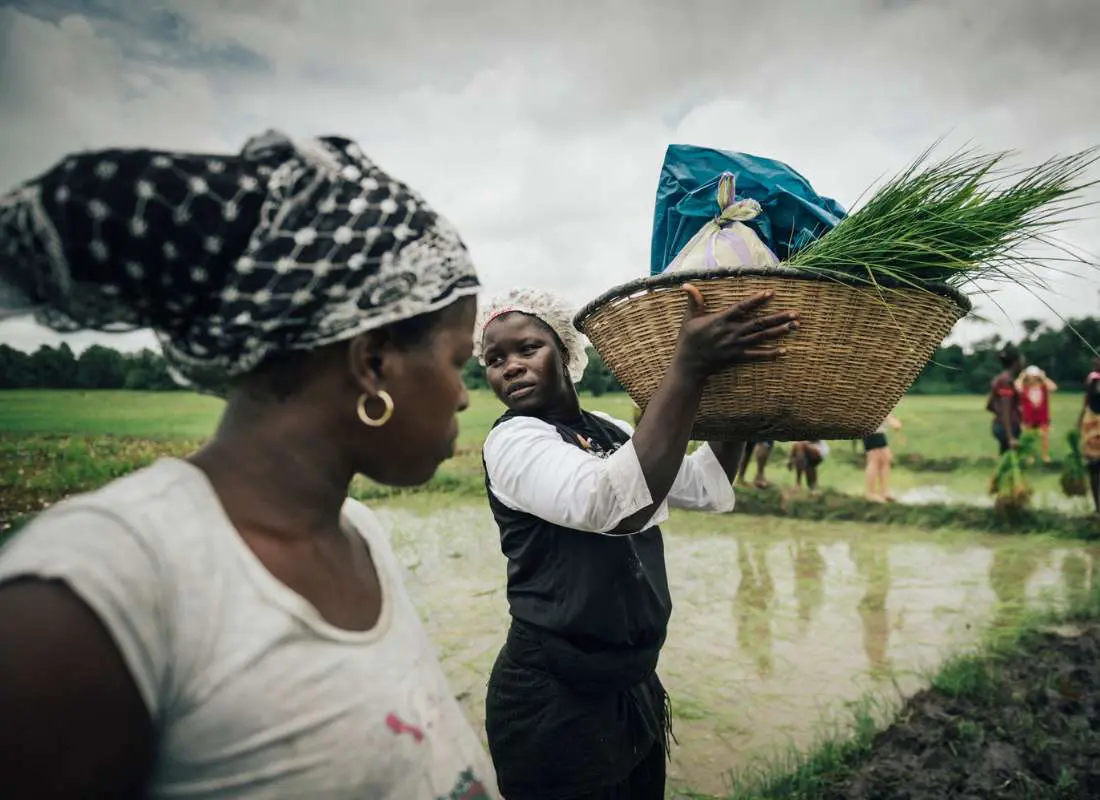viaggi-in-senegal-mokoro