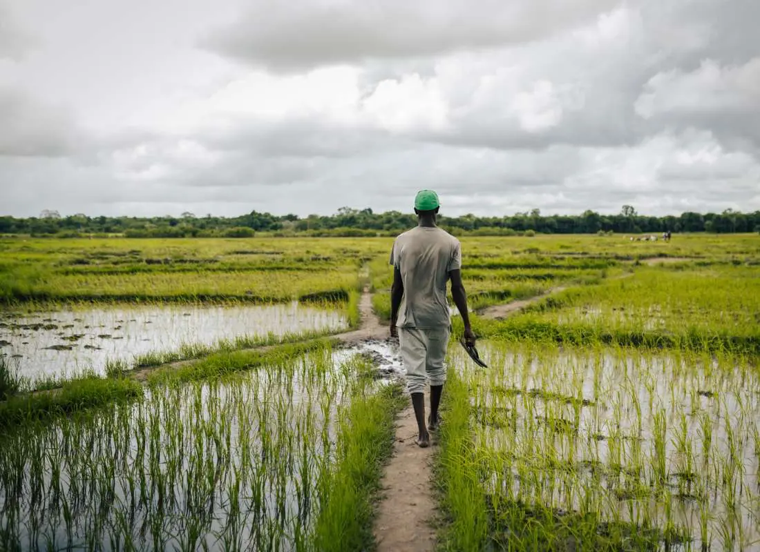 viaggi-in-senegal-mokoro
