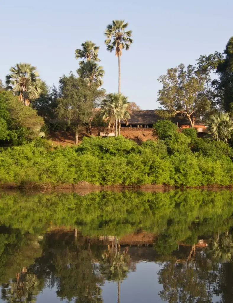 viaggi-in-senegal-parchi-e-paesaggi-mokoro
