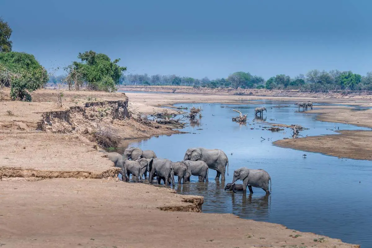 Mokoro Tours Viaggi in Africa south-luangwa-national-park-mokoro-4