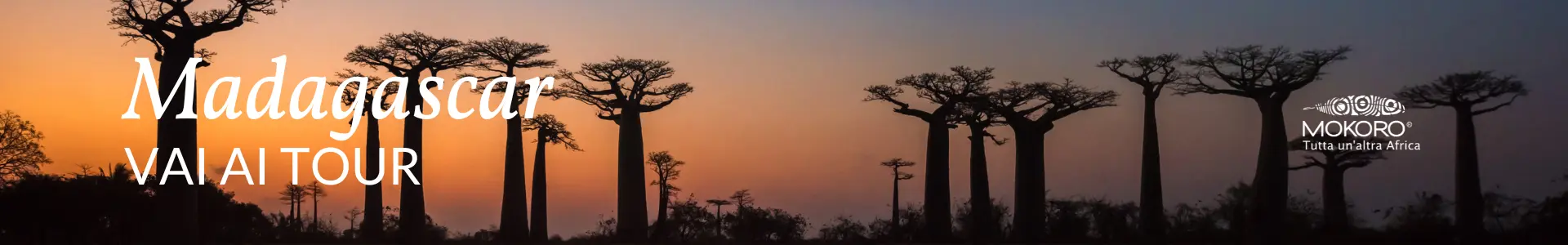 Mokoro Tours Viaggi in Africa
