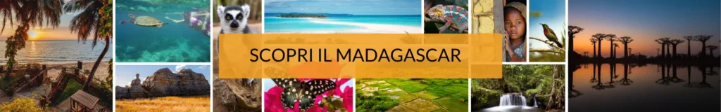 Mokoro Tours Viaggi in Africa viaggi-in-madagascar-mokoro