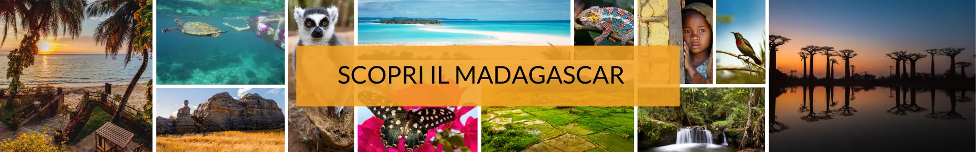 Mokoro Tours Viaggi in Africa viaggi-in-madagascar-mokoro