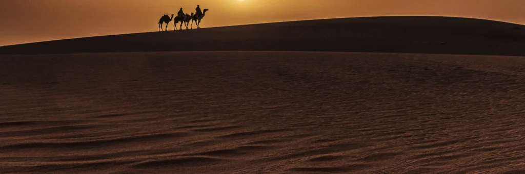 digital detox deserto algeria mokoro