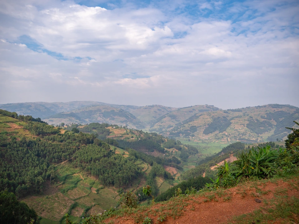 bwindi impenetrable national park mokoro