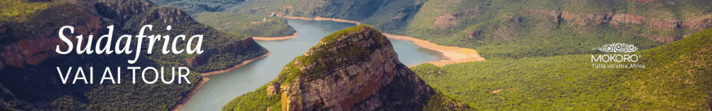 viaggi in sudafrica mokoro