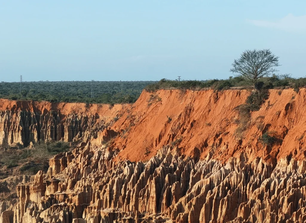 5 viaggi in angola kissama | Mokoro