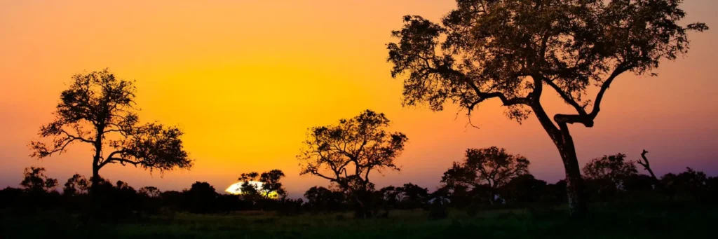 kruger-national-park-mokoro