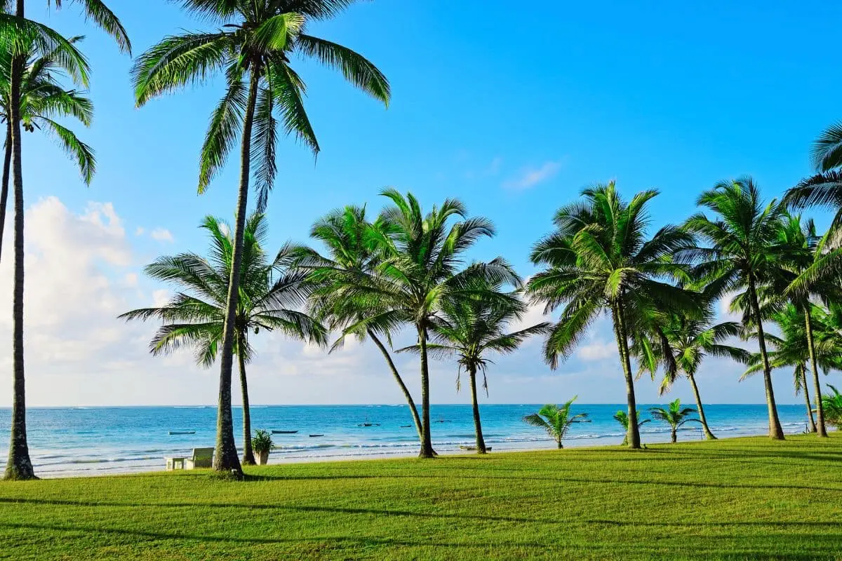 diani-beach-mare-cristallino-kenya
