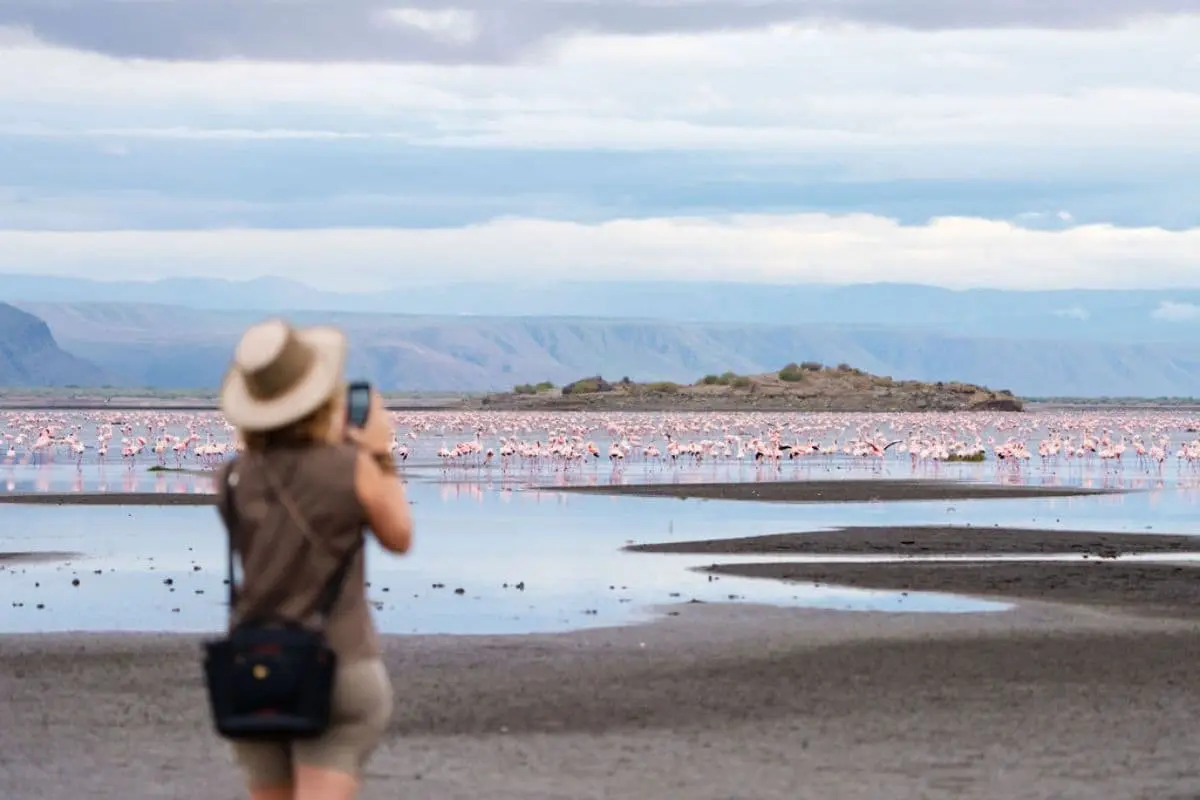 lago-natron-tanzania -enicotteri-rosa-paesaggio-africano