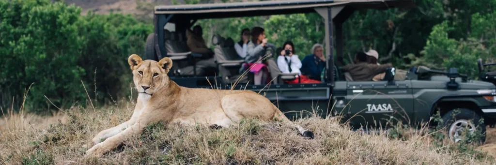 safari africano nella savana al tramonto con jeep-mokoro