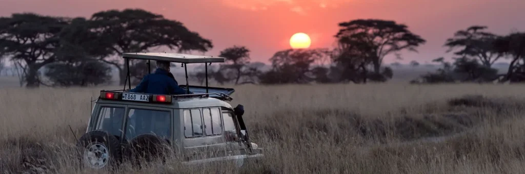 safari-in-tanzania-mokoro