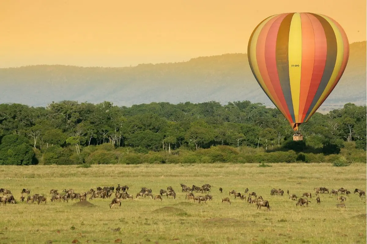 safari-in-kenya-paesaggio-savana-africa-orientale-mokoro