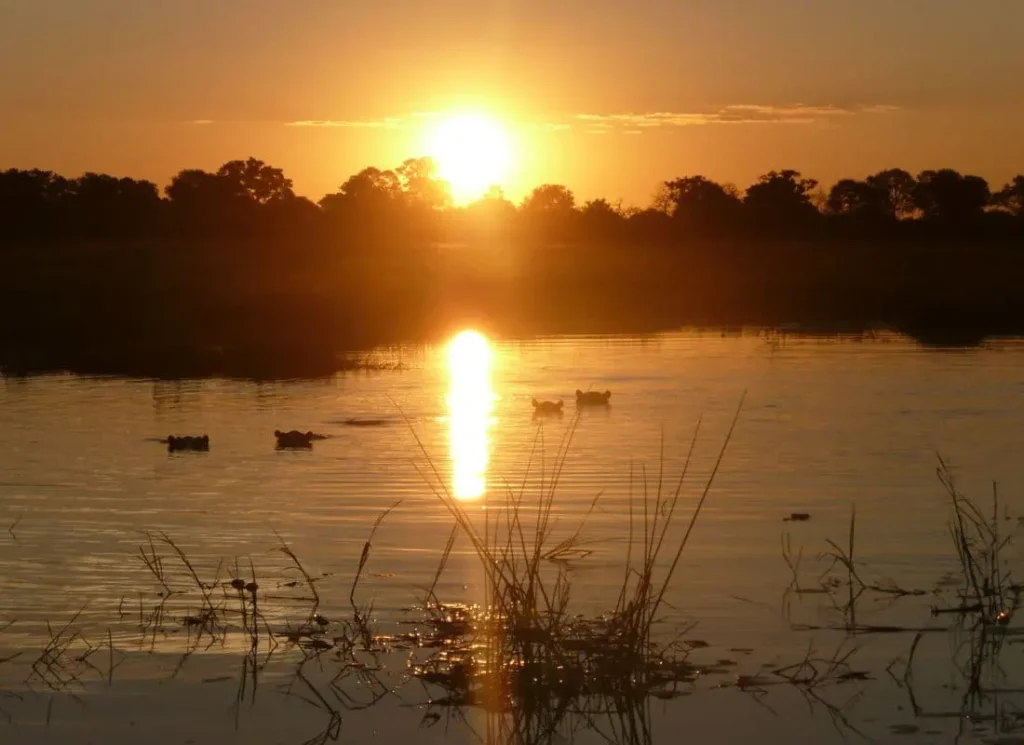 delta-dell-okavango-mokoro